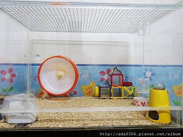 蔥崩壓克力籠 (1).jpg 蔥崩壓克力籠 (1).jpg