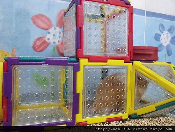 蔥崩壓克力籠 (8).jpg 蔥崩壓克力籠 (8).jpg