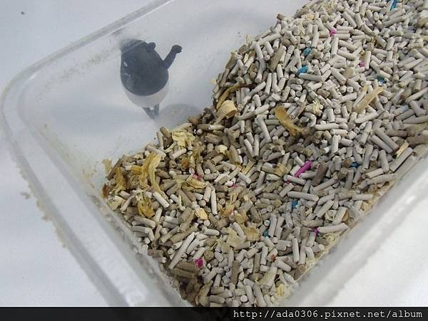 Marukan寵物鼠凝結香氛消臭沙.jpg Marukan寵物鼠凝結香氛消臭沙.jpg