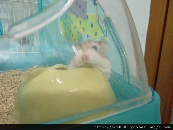 預言日記6.9 (2).jpg 預言日記6.9 (2).jpg