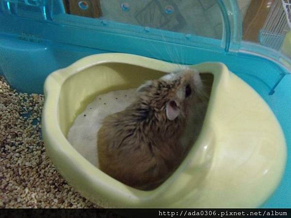 預言日記6.9 (1).jpg 預言日記6.9 (1).jpg