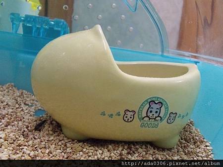 河馬馬桶.jpg 河馬馬桶.jpg