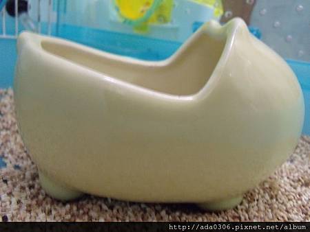 河馬馬桶 (1).jpg