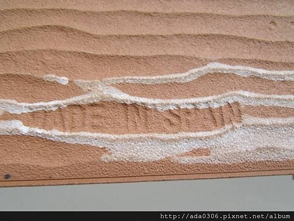 西班牙Mainzu花磚.jpg 西班牙Mainzu花磚.jpg