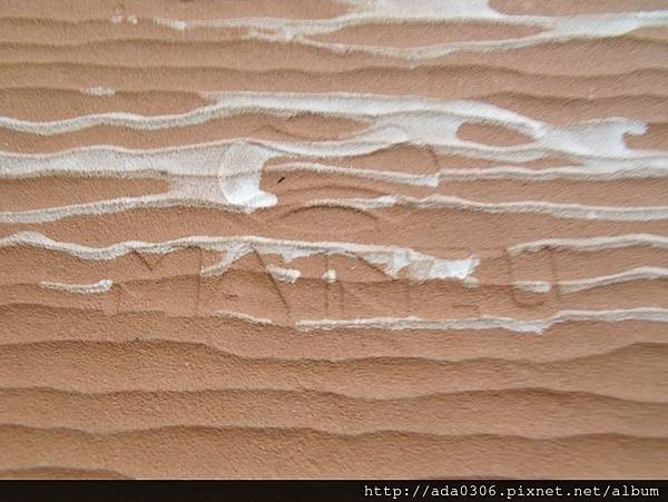 西班牙Mainzu花磚 (3).jpg 西班牙Mainzu花磚 (3).jpg