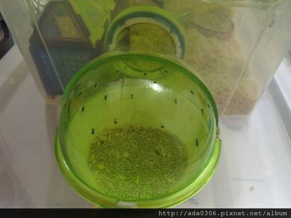 赫根外接鼠廁所 (1).jpg