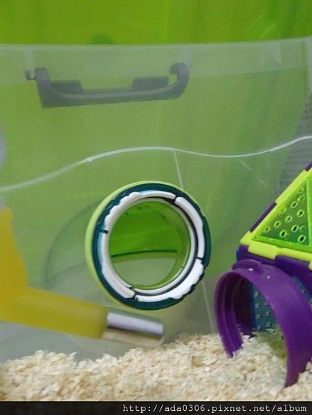 赫根外接鼠廁所 (3).jpg