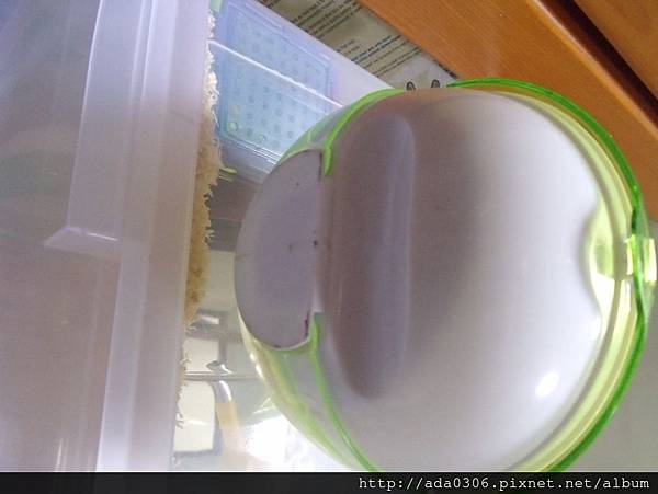 赫根外接鼠廁所 (4).jpg