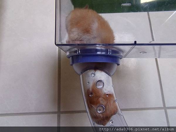 哈比上層屋 (7).jpg 哈比上層屋 (7).jpg