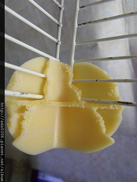 歷奇樂園單層01 歷奇樂園單層01