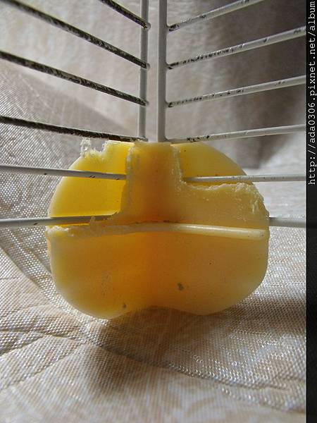 歷奇樂園單層02 歷奇樂園單層02