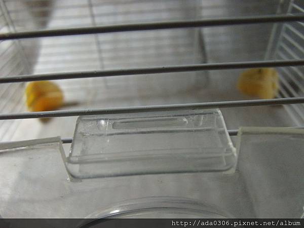 歷奇樂園單層03 歷奇樂園單層03