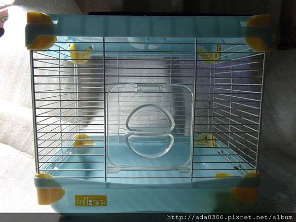 歷奇樂園單層12 歷奇樂園單層12