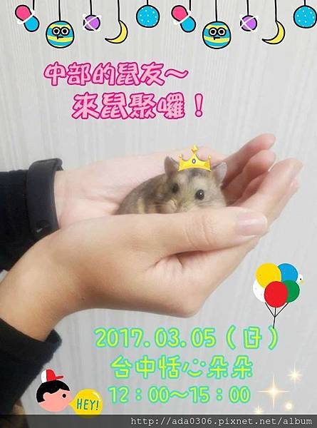 恬心朵朵鼠聚邀請圖 恬心朵朵鼠聚邀請圖