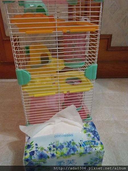 歷奇小三層9.jpg 歷奇小三層9.jpg