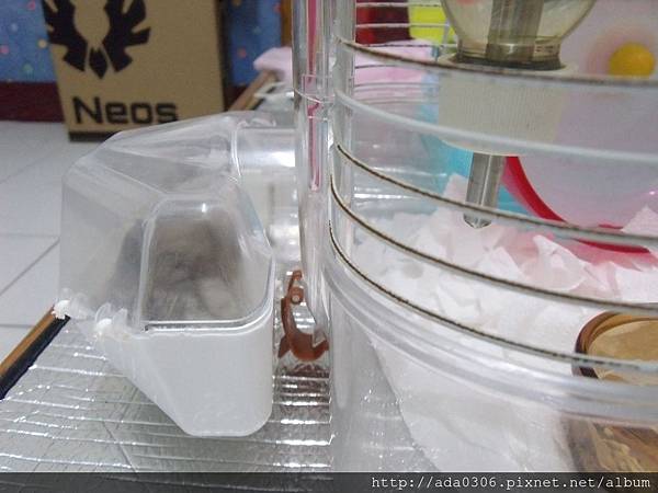 20170909七寶 (1).JPG