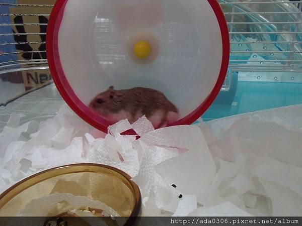 20170909七寶 (3).JPG