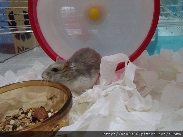 20170914七寶 (1).JPG