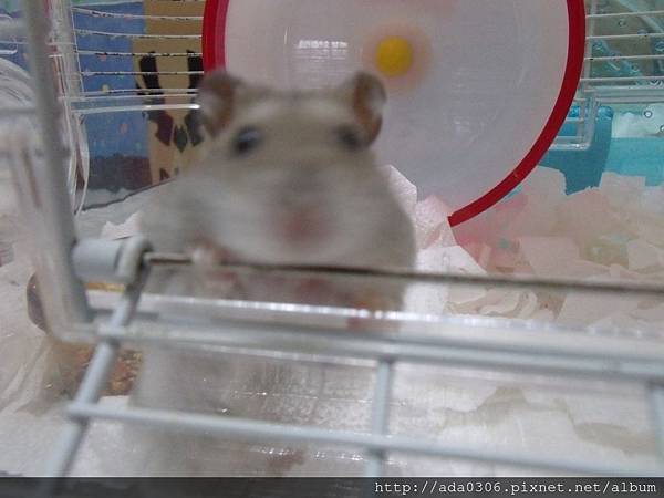 20170914七寶 (3).JPG