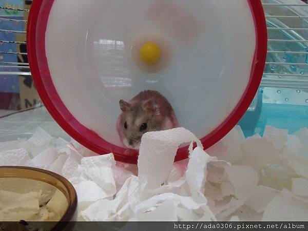 20170914七寶 (5).JPG