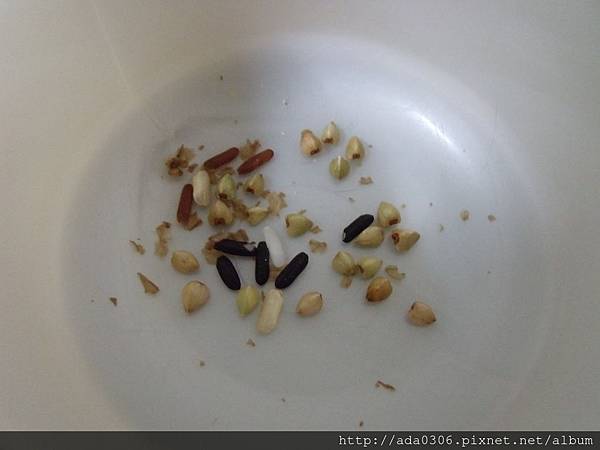 20170914嚕嚕 (2).JPG