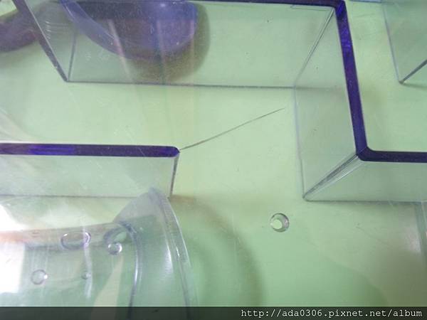 赫根哈比鼠迷宮 (5).JPG 赫根哈比鼠迷宮 (5).JPG