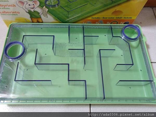 赫根哈比鼠迷宮 (7).JPG 赫根哈比鼠迷宮 (7).JPG