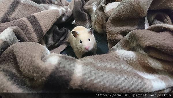 朗尼 (3).jpg 朗尼 (3).jpg