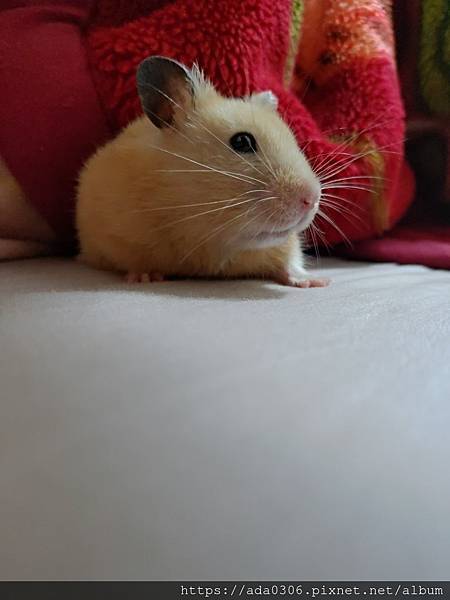 朗尼 (9).jpg 朗尼 (9).jpg