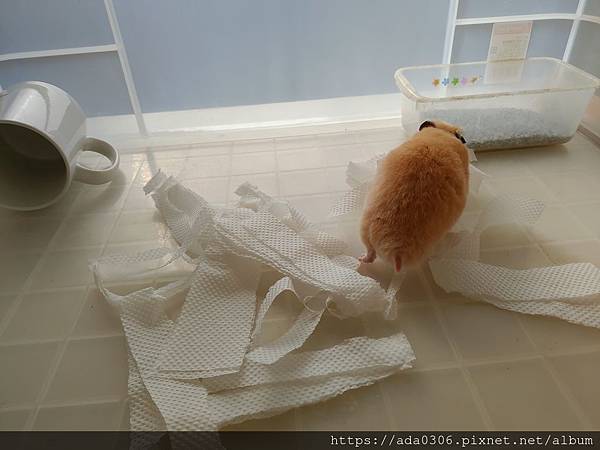 朗尼 (8).jpg 朗尼 (8).jpg