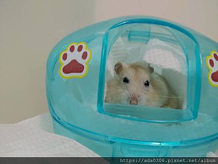 20200610回憶貸款機 (1).jpg 20200610回憶貸款機 (1).jpg