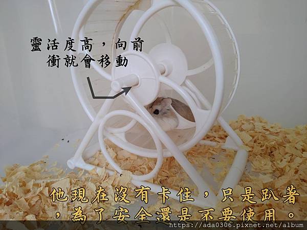 大創白色滾輪 (3).jpg