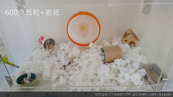 六芒星紙粒 (7)1.jpg 六芒星紙粒 (7)1.jpg