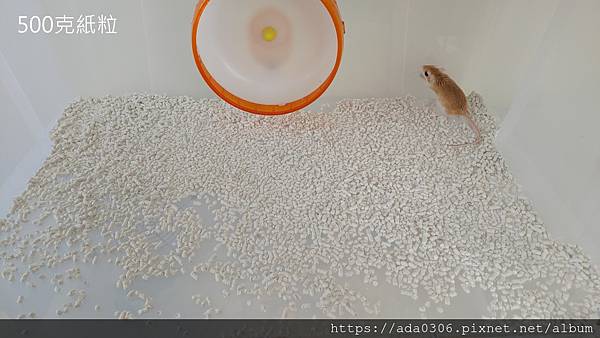 六芒星紙粒 (9)1.jpg 六芒星紙粒 (9)1.jpg