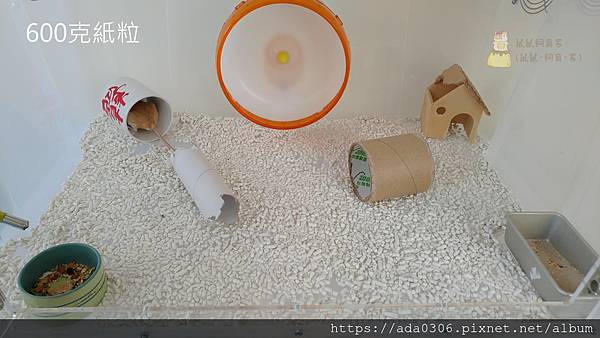 六芒星紙粒 (8)1.jpg 六芒星紙粒 (8)1.jpg