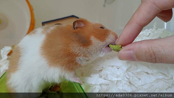 剝皮指套 (2).jpg 剝皮指套 (2).jpg