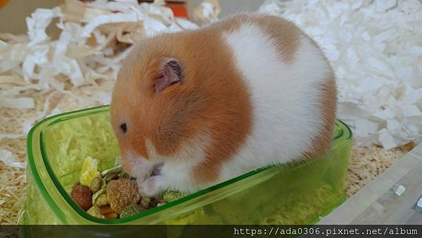 剝皮指套 (1).jpg 剝皮指套 (1).jpg