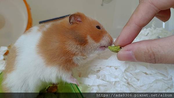 剝皮指套 (3).jpg 剝皮指套 (3).jpg