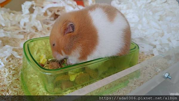 剝皮指套 (4).jpg 剝皮指套 (4).jpg