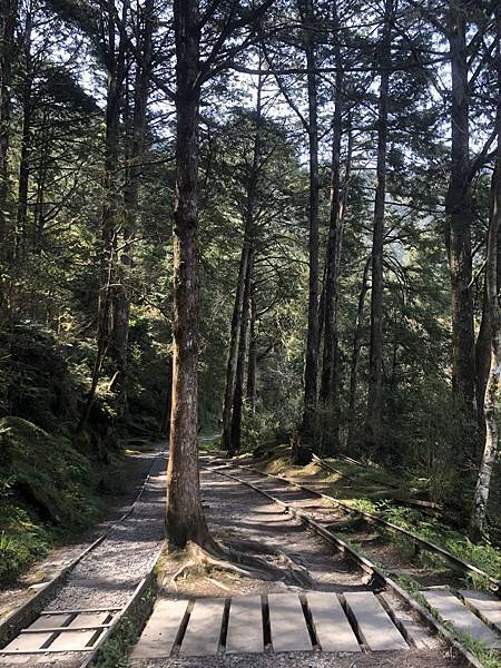 S__560201757 S__560201757