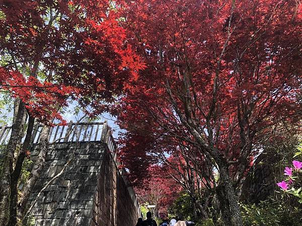 S__560201763 S__560201763