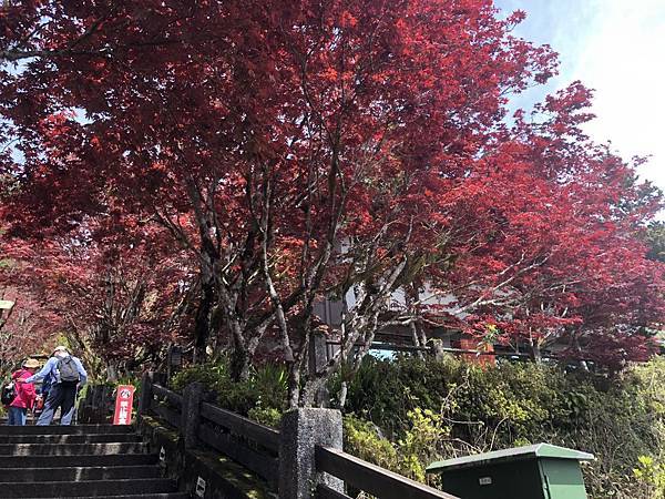 S__560201764 S__560201764