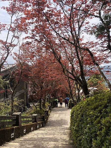 S__560201768 S__560201768