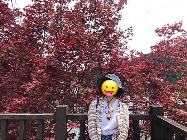 S__559325188 S__559325188