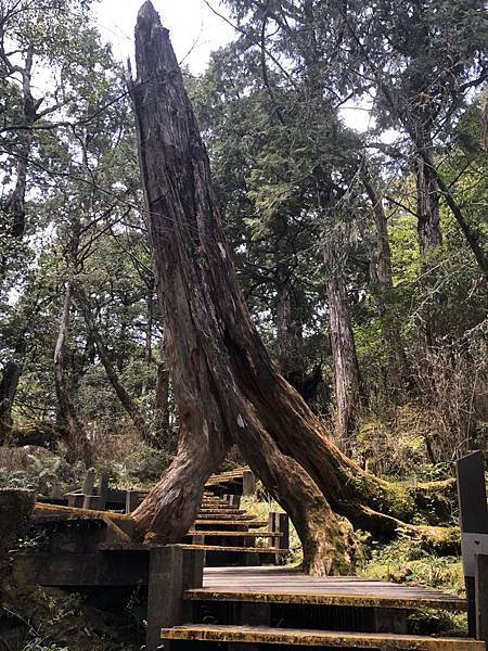 S__560201766 S__560201766