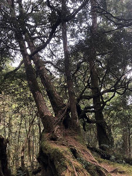 S__560201767 S__560201767