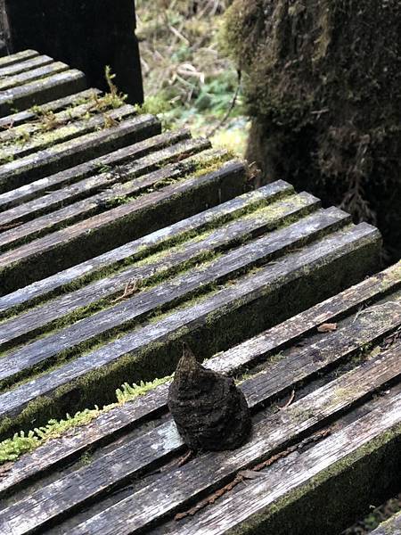 S__68501506 S__68501506