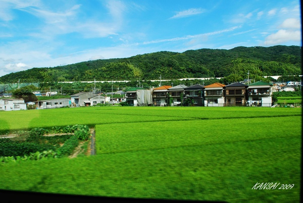 電車上之沿路風光