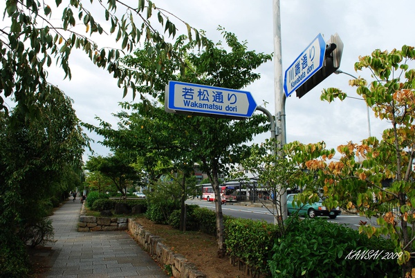 D2 京都 (550).jpg