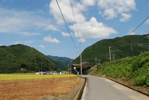 嵐山.金閣寺 (187).JPG